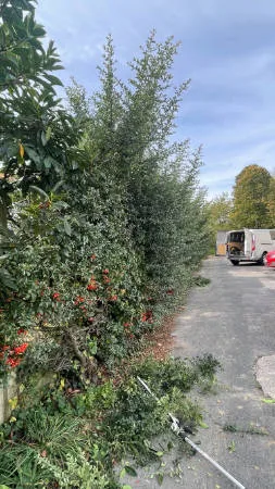 Entretien des haies d'une résidence dans l'Essonne