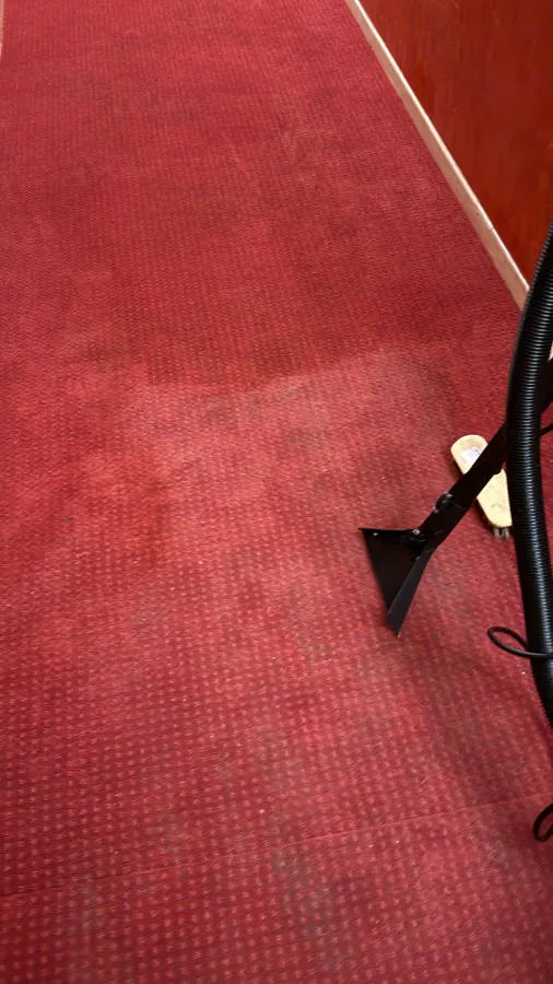 Shampooing d'une moquette rouge à la machine dans l'Essonne